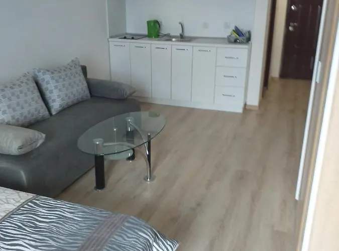 студио сони 1 דירה